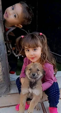 اولادي جنتي